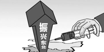 中俄将设立地区合作发展投资基金总规模1000亿元